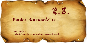 Mesko Barnabás névjegykártya