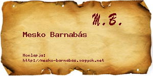 Mesko Barnabás névjegykártya