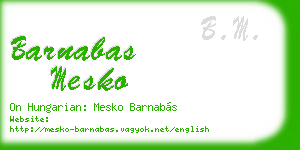 barnabas mesko business card